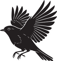 Robin Bird Silhouette
