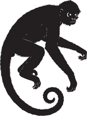 Spider Monkey Silhouette