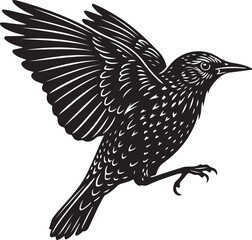 Starling Silhouette