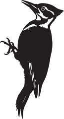 Woodpecker Silhouette