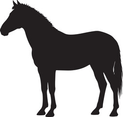 Zebra Horse Silhouette