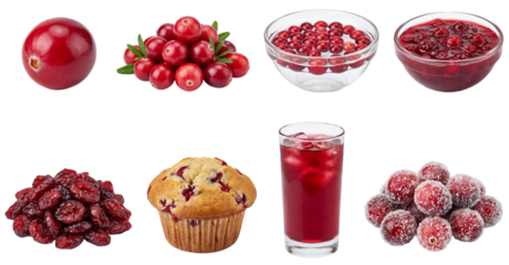 set of a cranberry collection in different forms, fresh, dried, sauce, muffin isolated on a transparent background