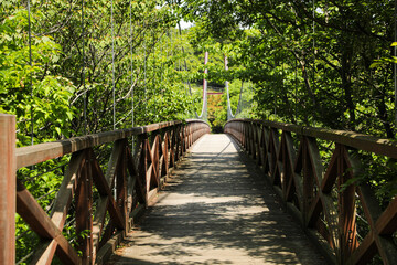 Obraz premium Wooden Bridge Surrounded by Lush Green Forest in Summer