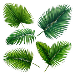 Obraz premium Digitally rendered arrangement of several detailed green palm leaves against black
