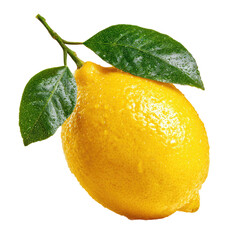 Single, ripe lemon with leaves