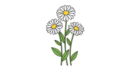 Fototapeta premium Three simple white daisies with bright yellow centers standing on green stems with leaves in a clean cartoon illustration style.
