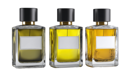 Three clear glass perfume bottles, each with a black cap and gold accents, stand side-by-side.  Empty white labels are affixed to the center of each bottle.  