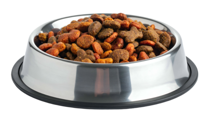 A stainless steel pet bowl overflowing with dry kibble food, isolated on black