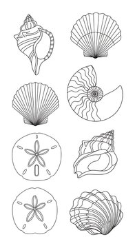 Sea Shell Line Art Set.