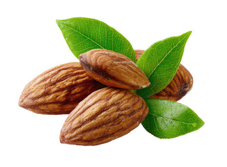 Close-up of almonds with fresh leaves