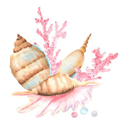Three large seashells composed with pink corals and pearls. Underwater world clipart. Seabed. Ocean. Snorkeling. Hand-drawn watercolor illustration for sea-themed design, postcards, stickers, poster