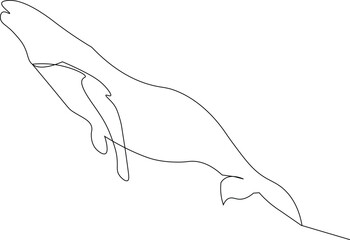 Obraz premium Minimalist whale outline vector. Marine animal line art illustration. Sea creature graphic for logo. Ocean wildlife design. Editable stroke.