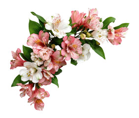 Delicate blush and white alstroemeria arrangement