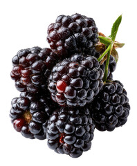 Close-up cluster of dark blackberries