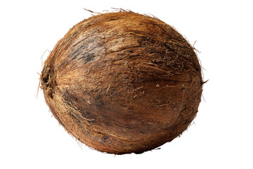 Single coconut, whole, top view
