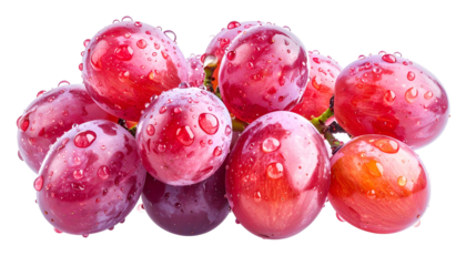 Close-up of dewy, ripe red grapes on a stem, isolated against black
