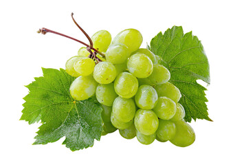 Fresh green grapes with leaves