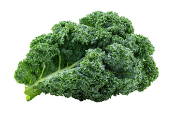 Close-up of a vibrant green kale leaf