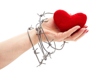 Female hand holding a red heart wrapped in barbed wire on a white background.