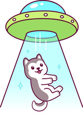 Aliens on flying saucer abduct dog. Funny cartoon husky puppy and UFO drawing, vector illustration.