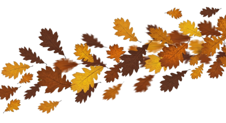 An array of autumn leaves in various shades of brown and gold drift across a stark black backdrop