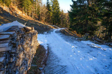 Forest road in Kaiserwinkl, leading through a wooded area in a mountainous region.  On the left in the foreground, a large pile of neatly stacked firewood can be seen. Sunny day in winter.