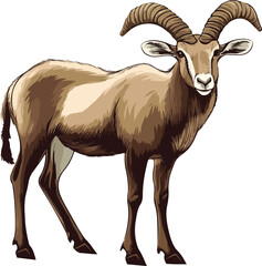 Urial Vector on Transparent Background
