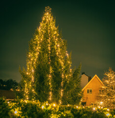 Christmas lights on hedge and tree in Dr&oslash;bak Norway