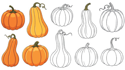 Pumpkin Vector Illustration Collection