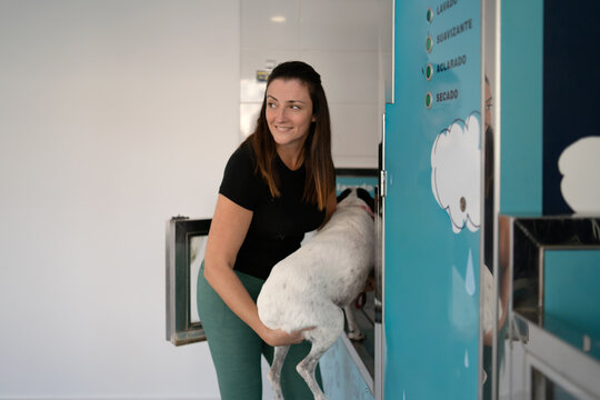 Woman washing dog at self-service pet wash station