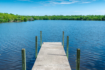Point de vue du West Lake Trail un jour ensoleillé, parc des Everglades, Floride
