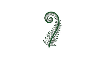 A dark green fern frond uncurling into a fiddlehead shape, isolated on a clean white background