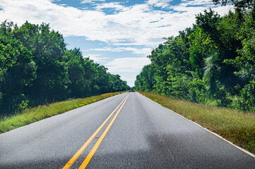 Fototapeta premium Longue ligne droite au milieu des arbres sur la Main Park Road, la State Highway 9336 du parc des Everglades un jour ensoleillé avec quelques nuages dans le ciel, Floride