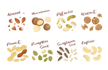 Assorted Nuts and Seeds Set &ndash; Hand Drawn Food Illustration