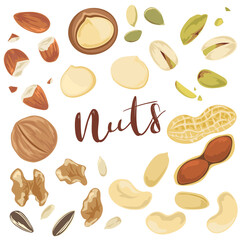 Assorted Nuts and Seeds Set &ndash; Hand Drawn Food Illustration