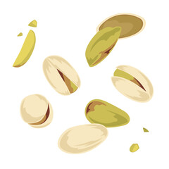 pistachio &ndash; Hand Drawn Food Illustration Isolated on White Background