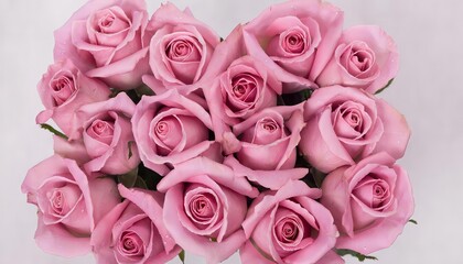 Fototapeta premium pink roses bouquet