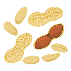 Peanut &ndash; Hand Drawn Food Illustration Isolated on White Background