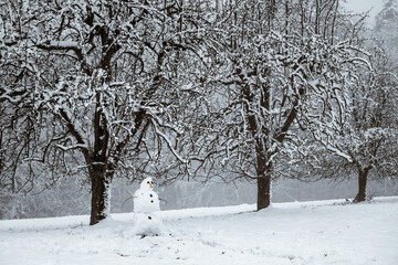 A snowman stands in a meadow with old fruit trees