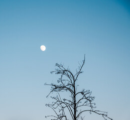 Winter season collection from Finland with nature , City architecture , plants, frozen sea and lots of snow.