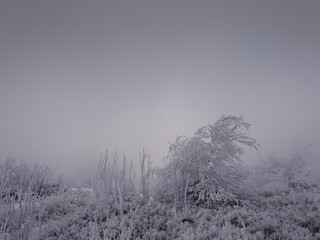 Zimowy g&oacute;rski krajobraz spowity w gęstej mgle