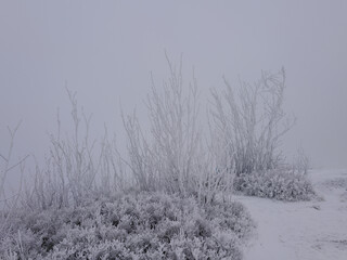 Zimowy g&oacute;rski krajobraz spowity w gęstej mgle