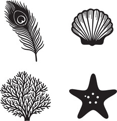 Four Black and White of a Feather, Shell, Coral, and Starfish also transparent background