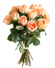Rose bouquet tied loosely with visible stems and leaves, natural floral arrangement, isolated on white background. 