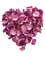 Rose petals arranged in heart-like organic flow without forming symbols, romantic texture element, isolated on white background. 