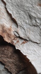 Close-up of weathered tree bark with intricate textures and natural patterns.
