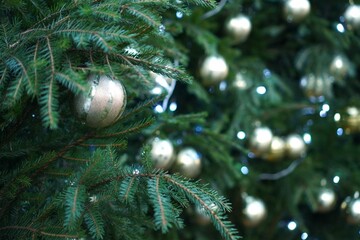  Evergreen branches adorned with shimmering golden ornaments capture the essence of festive holiday decor. A close-up view reveals intricate details of Christmas embellishments.