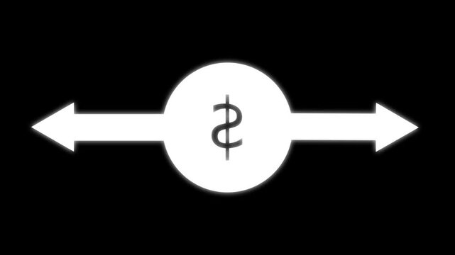 dollar symbol icon showing with zoom in zoom out