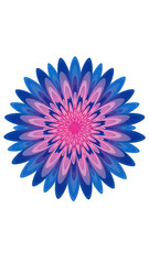 Colorful Abstract Flower Design Isolated on Transparent Background