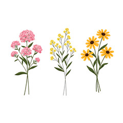 Obraz premium Illustrated Set of Flowers Pink Yellow Daisies on White Background